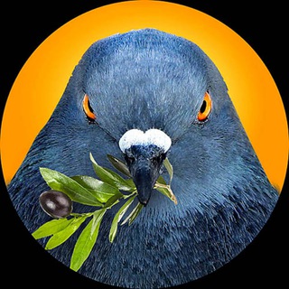 ЛОГИКА ВОЙНЫ