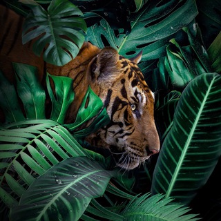 ПО ПРОСТОРАМ ЗЕМЛИ