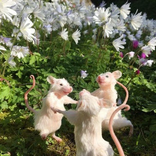 ЗООПАРК В ТВОЕЙ ГОЛОВЕ|ПСИХОЛОГИЯ