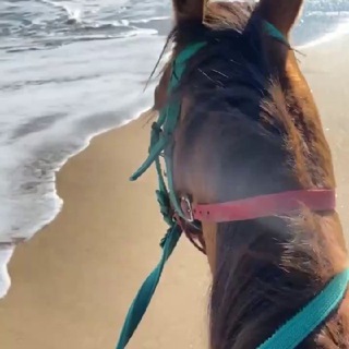 МУЗЫКА ВОСТОКА