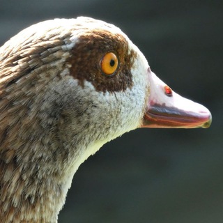 ХЭНДМЕЙД И ЛАЙФХАКИ ️