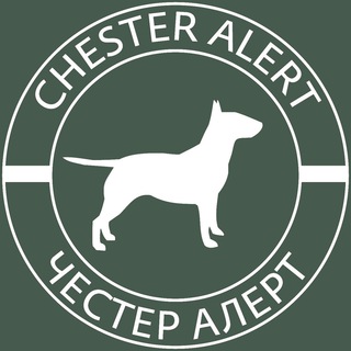 CHESTER ALERT