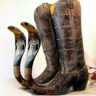 БАРХАТНЫЕ ДВИЖЕНИЯ