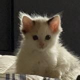 ПИКЧИ ДЛЯ ОТНОШЕНИЙ