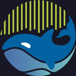 АРКТИК-ОТЕЛЬ «КИТОВЫЙ БЕРЕГ»