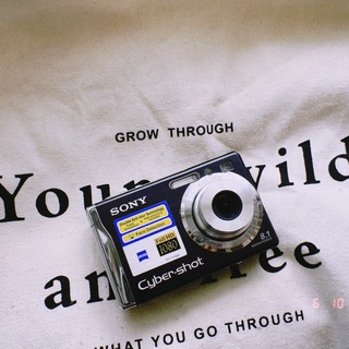 ПРИКЛЮЧЕНИЯ SОНИКА