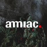 AMMIAC. НОВОСТИ 