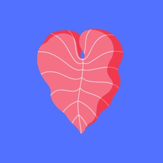 АНГЛИЙСКИЙ ЦТ/ЦЭ