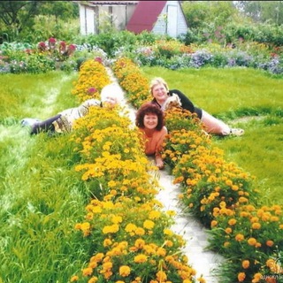 М-Н «ДАЧНОЕ СЧАСТЬЕ» ХАБАРОВСК