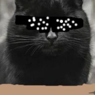 АКАДЕМИК | ACADEMEG