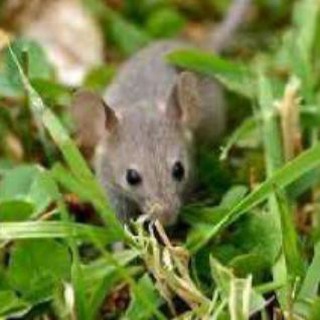 ТҮРКИЯДА ЖОГОРКУ БИЛИМ 2023 #SIT.KG