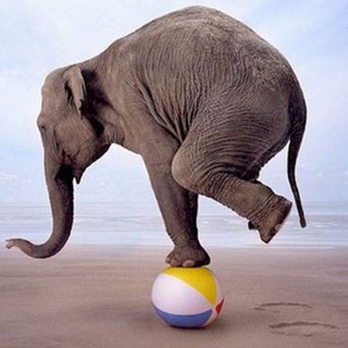  QA — LOAD & PERFORMANCE