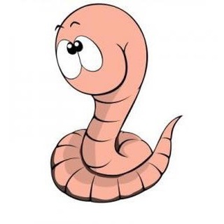 АНТИПАРАЗИТАРНАЯ ПРОГРАММА