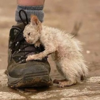 ДОМ ПЕРЕДЕРЖКА