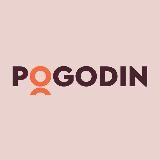 POGODIN ACADEMY