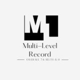 MULTI-LEVEL RECORD