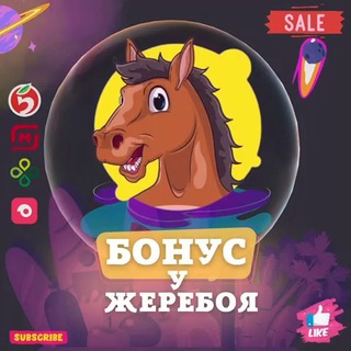 БОНУС У ЖЕРЕБОЯ