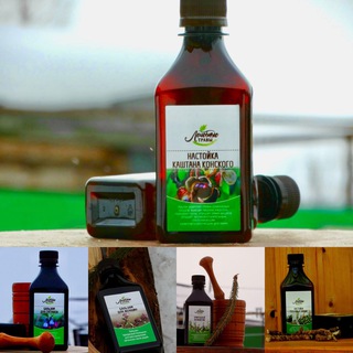 ЛЕЧЕБНЫЕ ТРАВЫ