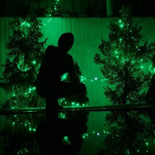 ПАРАНОРМАЛЬНЫЕ ЯВЛЕНИЯ, ДОМОВЫЕ, СОННЫЙ ПАРАЛИЧ.