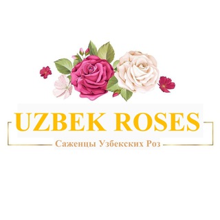 САЖЕНЦЫ УЗБЕКСКИХ РОЗ