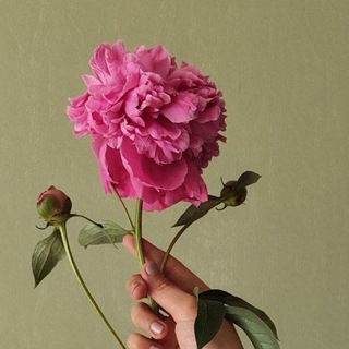 ИСКУССТВО В МОЕЙ КРОВИ 