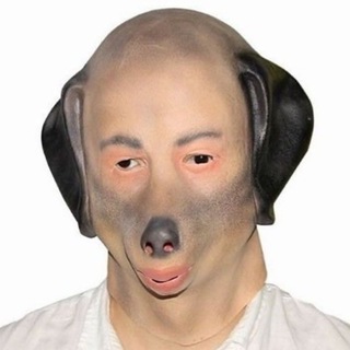 СОБАКА СУТУЛАЯ