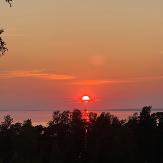 КУР КРЫЛО ПЕТЕРБУРГ