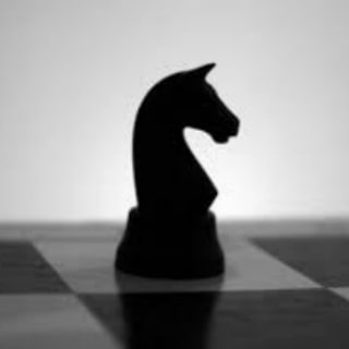 ТЁМНАЯ ЛОШАДКА