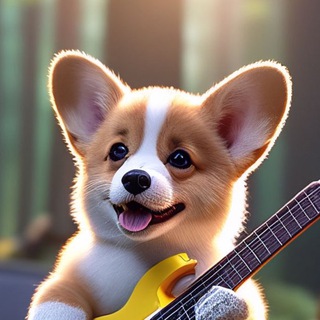 ЗАГАДКИ ОТ КОРГИ