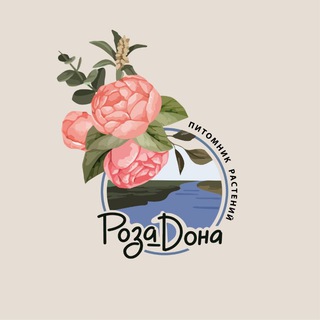 ПИТОМНИК РОЗА ДОНА