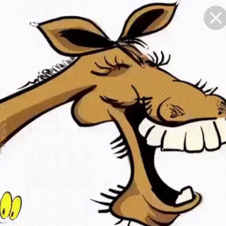 КОНЬ ВАЛЯЛСЯ