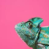 НАХОДОЧКИ НА WILDBERRIES | АКЦИИ И СКИДКИ