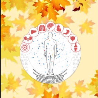 ШКОЛА ПОЛИМОРБИДНОСТИ