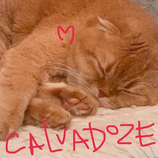 CALVADOZE