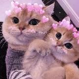 ASTRO CATTISH | ГОРОСКОП