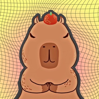 В ОБЪЯТИЯХ КАПИБАРЫ • ПСИХОЛОГИЯ УЮТНОЙ ЖИЗНИ