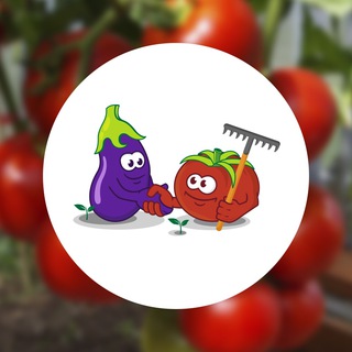 ИНТЕРНЕТ-МАГАЗИН SEMENA-PARTNER.RU