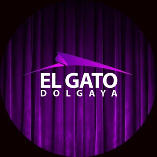 EL GATO D.C. DOLGAYA | НОВОСТИ