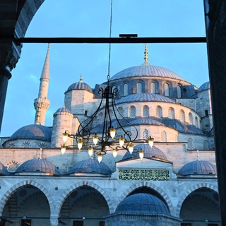 СТАМБУЛЬСКИЙ СПАМ