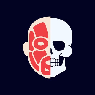 АНАТОМИЯ | КАРМАННЫЙ АТЛАС