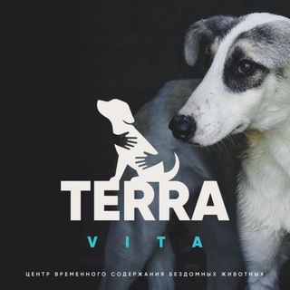 TERRA-VITA ( ЦЕНТР ВРЕМЕННОГО СОДЕРЖАНИЯ БЕЗДОМНЫХ ЖИВОТНЫХ)