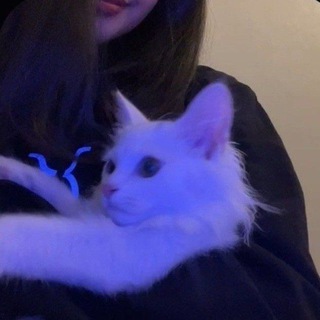 SPEED SONGS||SPEEDWER