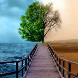 روانشناسی،موفقیت،زندگی