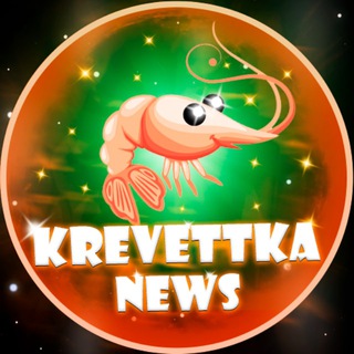 KREVETKA NEWS