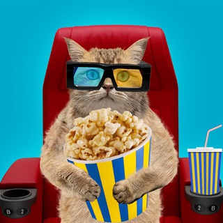 ДИВИМОСЬ РАЗОМ | ФІЛЬМИ КІНО СЕРІАЛИ