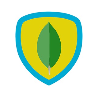 MONGODB | MONGOOSE BRASIL