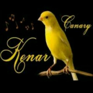 NAMANGAN KANAREKA BOZOR