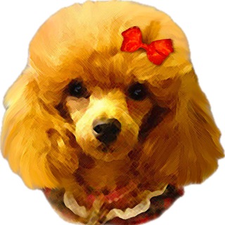 ПУДЕЛЬ ХЕЛП | ПОМОЩЬ ПУДЕЛЯМ