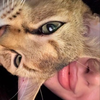 ᴀᴢᴀƦᴛ ҒᴀᴍꞮʟʏ ЗАКРЫТО