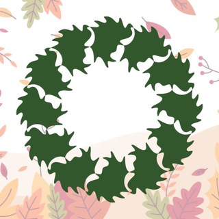 ШКОЛА № 37 Г. ВОЛОГДЫ